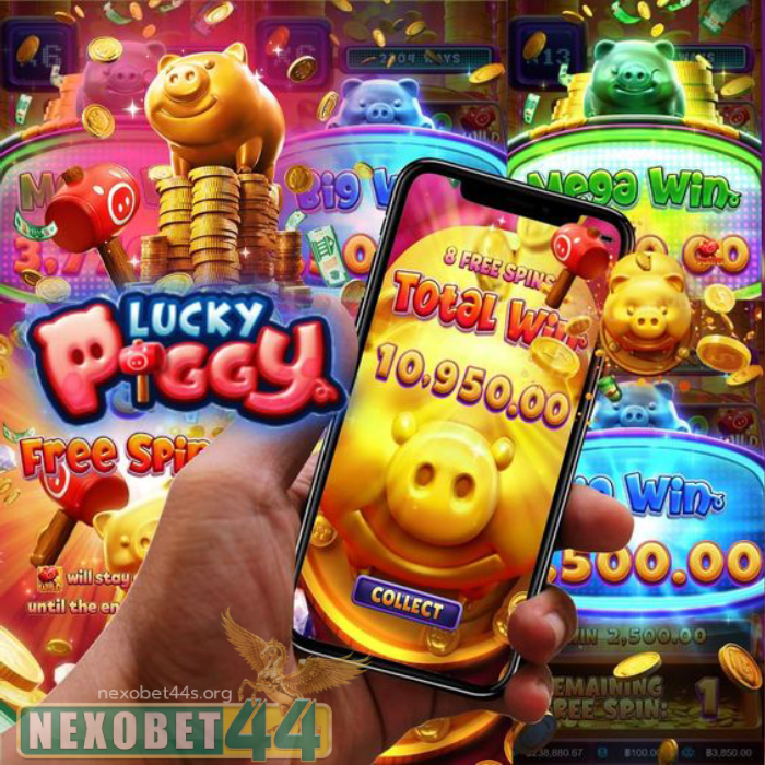 nexobet44